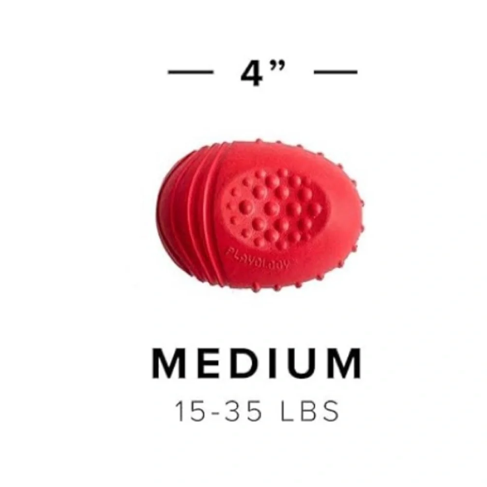 NWT Playology Beef Scented Pebble ChewToy, 4